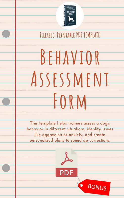 Behavior Assessment Form