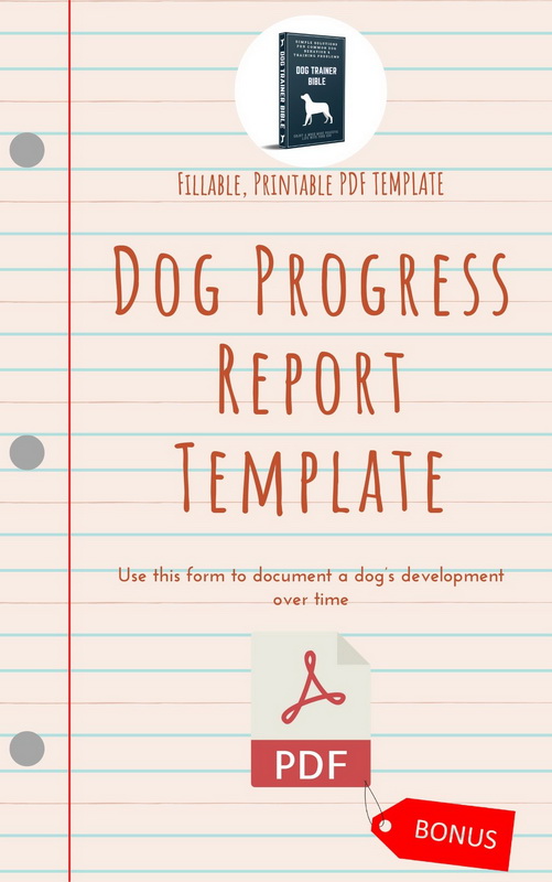 Dog Progress Report Templates