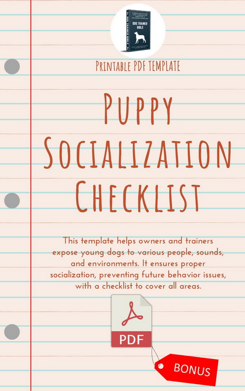 Puppy Socialization Checklist